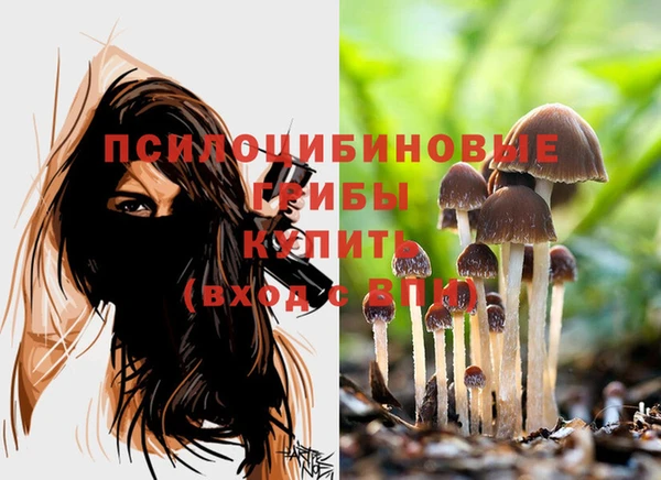 крисы Лабытнанги