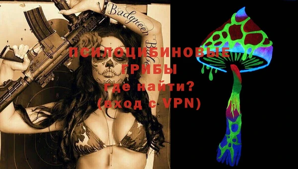 прущие грибы Лагань