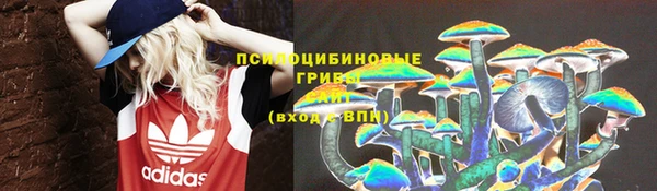 прущие грибы Лагань